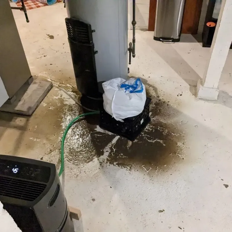 Sewage Backup Cleanup Service in Helena, MS